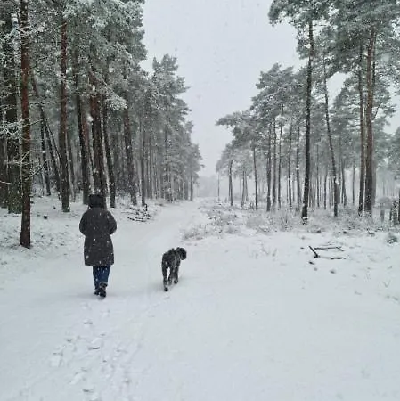 Schuberski Apartman Lipperreihe