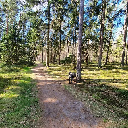 Schuberski *