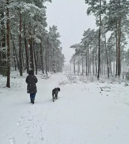 Schuberski Apartamento Lipperreihe