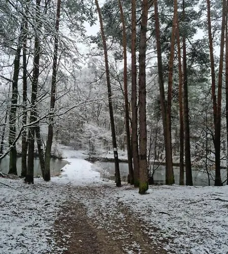 아파트 Schuberski