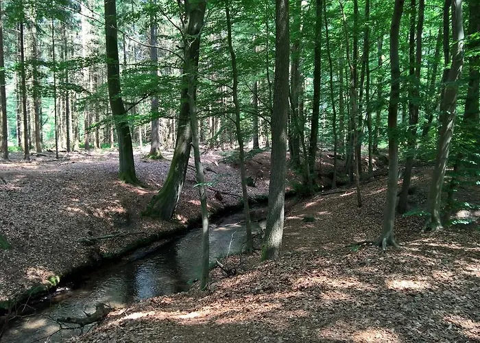 Schuberski 아파트 *